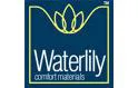 Waterlily